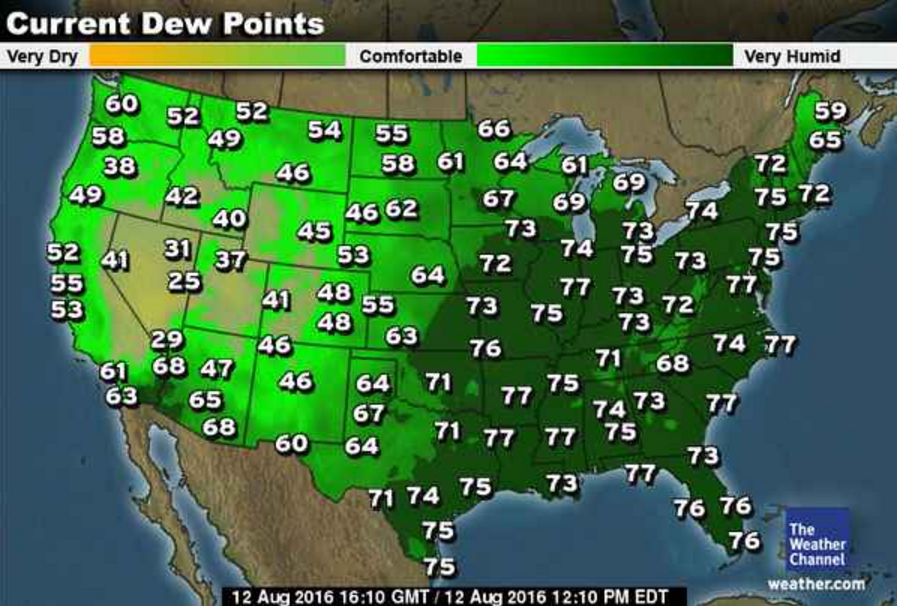 minneapolis weather current dew point