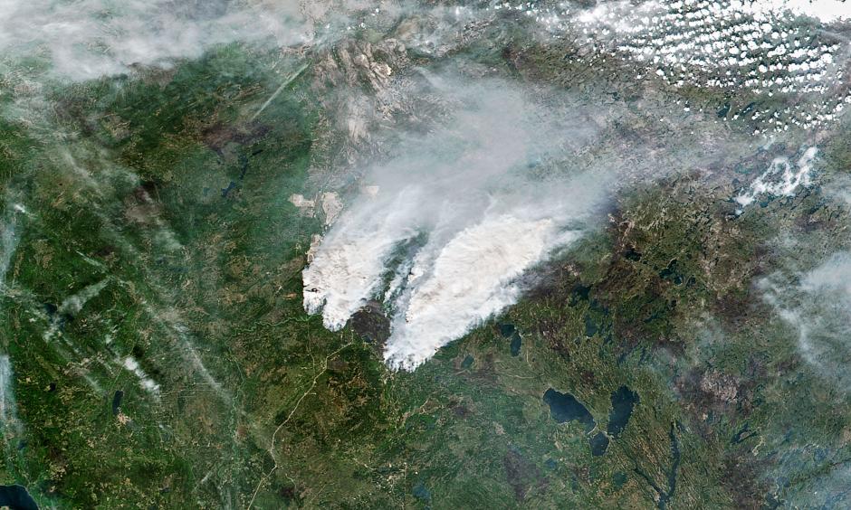 Climate Signals | Forest Fires Can Heat Up the Whole Planet