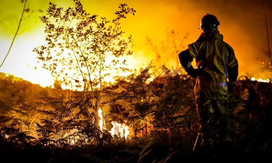 Record-breaking wildfires have occurred all over the Northern Hemisphere  during 2023, new report finds - ABC News