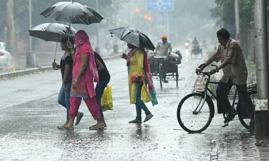 Climate Signals Torrential Rain More Frequent With Global