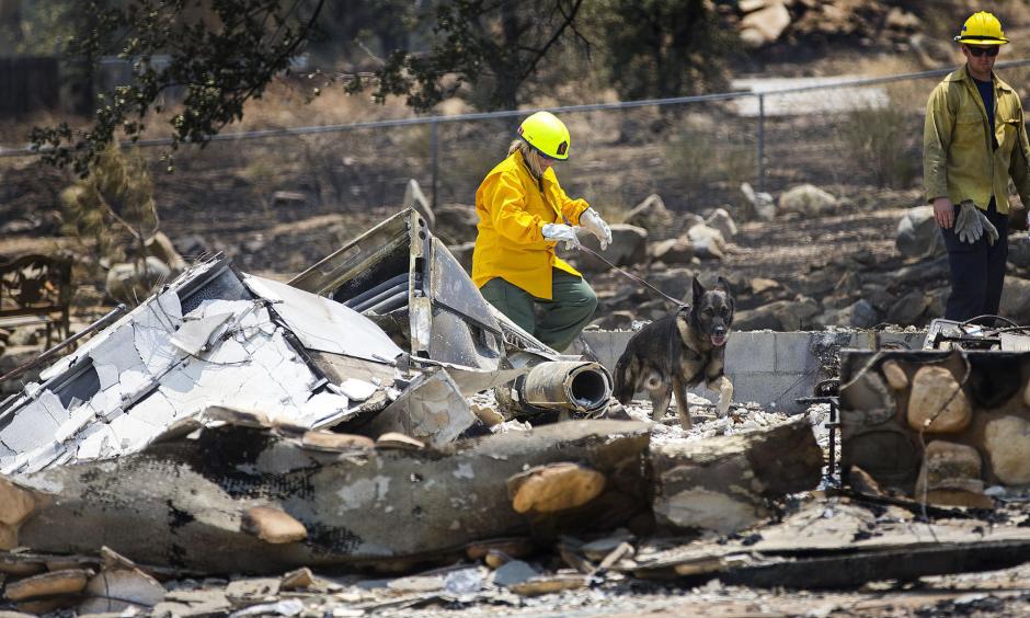 Nine California Wildfires Destroy Almost 70,000 Acres | Climate Signals