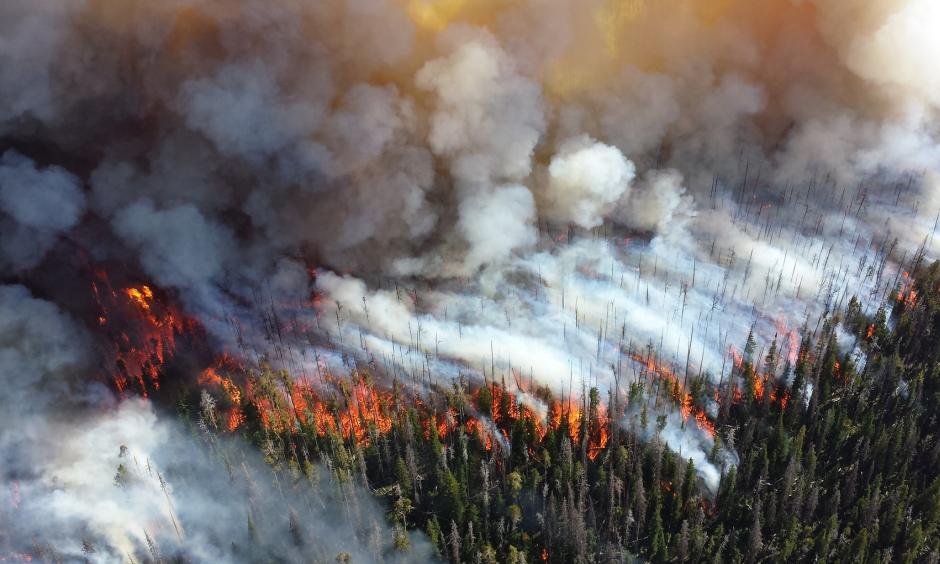 Climate Signals | Alaska's explosive wildfire season is fueling and ...