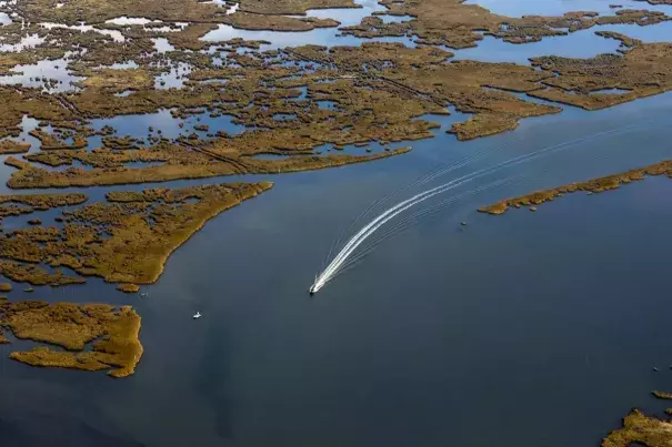 Climate change is causing sea level rise and threatening the Louisiana wetlands