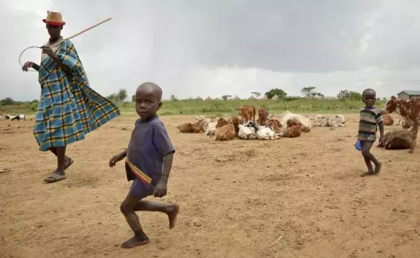 In this photo taken Wednesday, Oct. 18, 2017, a Karamojong man and children keep watch over their cattle as they rest after grazing in the semi-arid savannah region of Karamoja, in northeastern Uganda. Photo: Adelle Kalakouti, AP