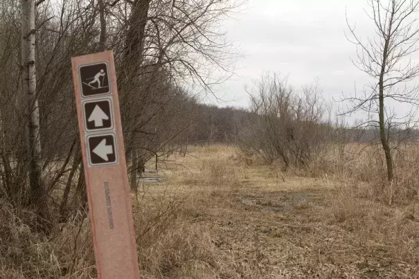 The cross country trails are bare -- and damp -- at the Snail Lake Regional Park in Shoreview on March 5, 2017. Photo: Regina McCombs | MPR News