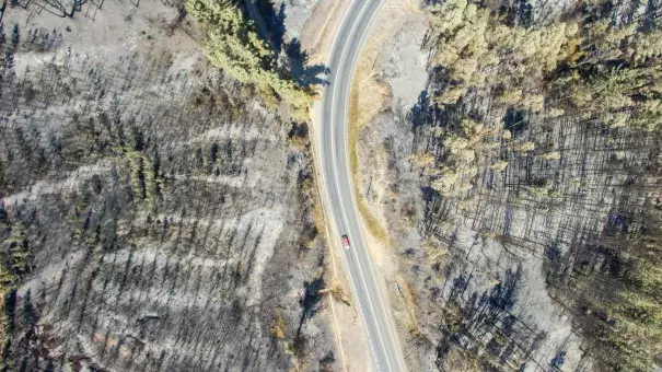 A drone image of a forest near La Florida, Chile, on Sunday, after a wildfire. Photo: Christian Miranda/AFP/Getty Images