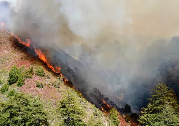 Flames from the Soberanes Fire run up a ridge in Soberanes Canyon in Garapata State Park on the northern Big Sur Coast on Friday July 22, 2016. Photo: David Royal - Monterey Herald