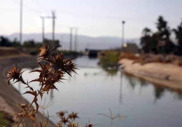 This Oct. 23, 2017 photo shows a stretch of the King Abdullah Canal, the largest irrigation system near the town of Northern Shouneh, Jordan. Recent studies say the kingdom, a Western ally and refugee host nation with a growing population, is being hit particularly hard by climate change, getting hotter and drier than previously anticipated. Photo: Omar Akour, Associated Press