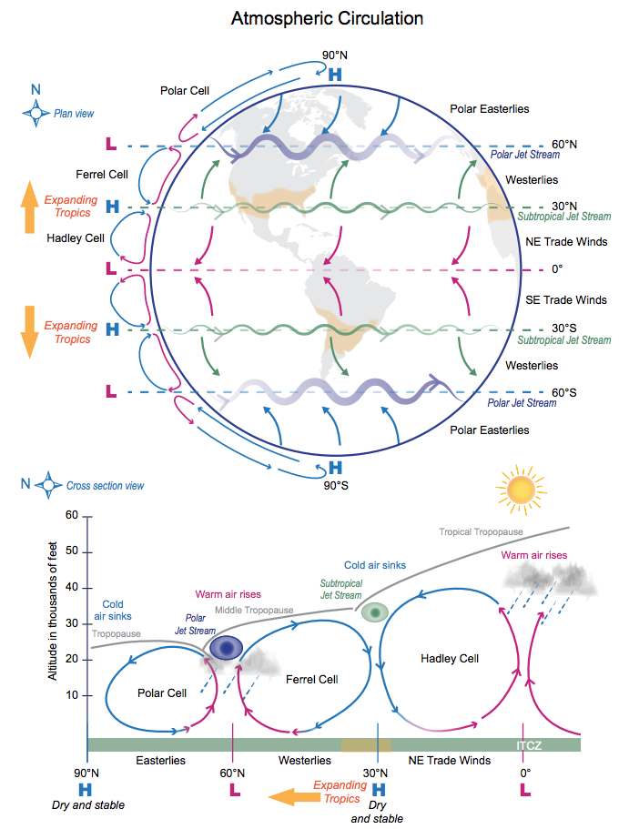 Infographic General Circulation Of The Atmosphere Climate Signals